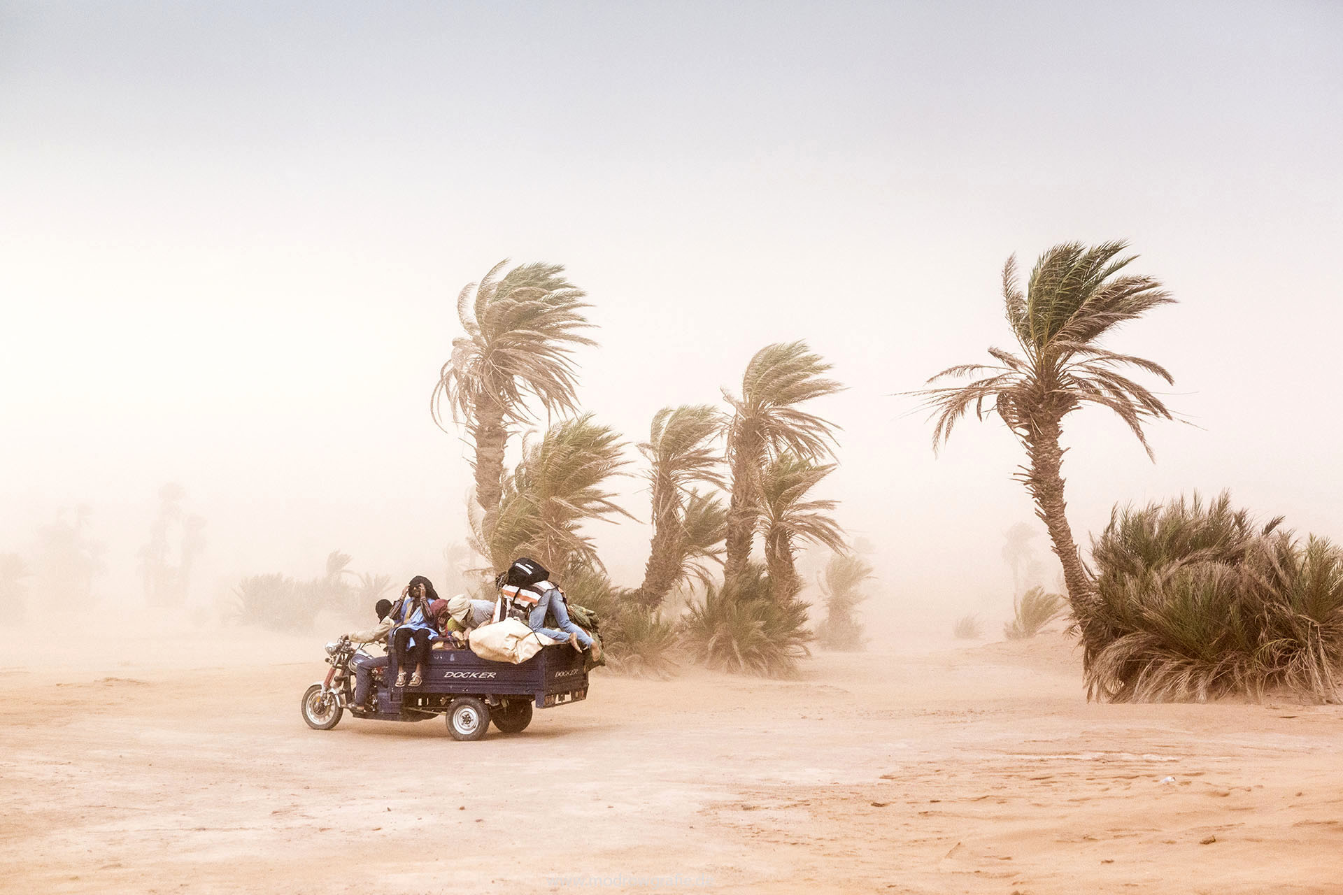 Koenigreich Marokko, Sahara, M'Hamid El Ghizlane, Draa Valley, Wueste, Duenen, Sand, Talagarte Festival, Berber Musik, Fest, Party, Zeltlager, Lifemusik, Music Festival, Sand Dunes, Sahara, desert, Berber Music, Tents, Sandstorm,